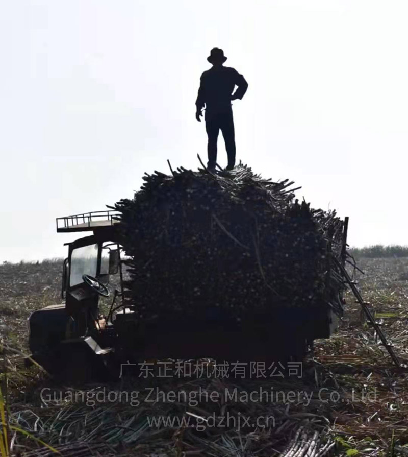 甘蔗全機(jī)械化生產(chǎn)和收獲