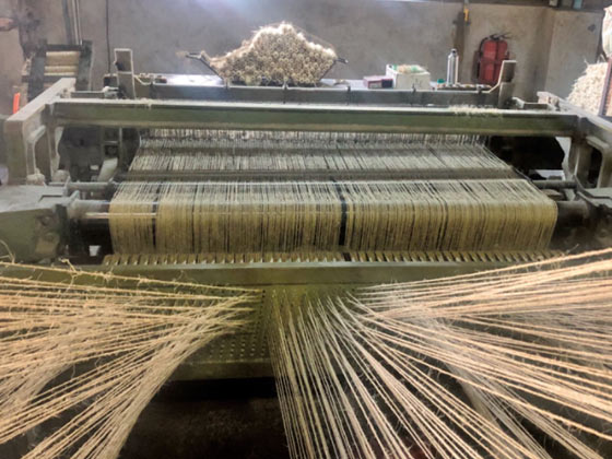 劍麻拋光布織機_劍麻纖維拋光布織機_拋光布劍麻織機_劍麻拋光布設(shè)備_劍麻拋光布編織機_自動化劍麻織機_劍麻拋光布生產(chǎn)線